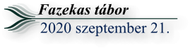 faztab202009 c